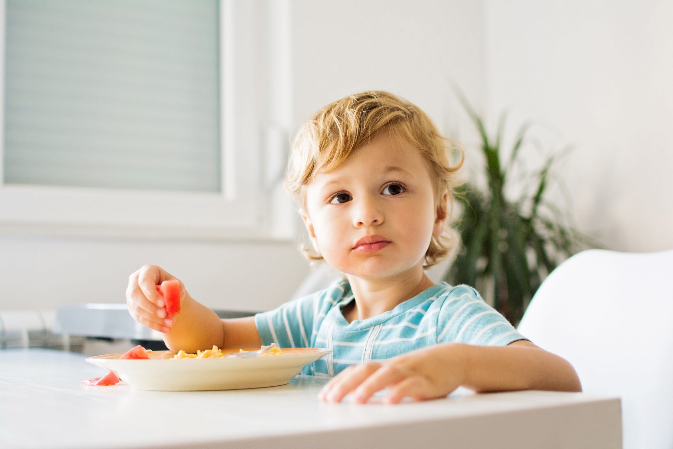 Cute blond toddler boy eating his meal